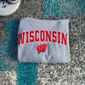 Wisconsin Embroidered Vintage Hoodie